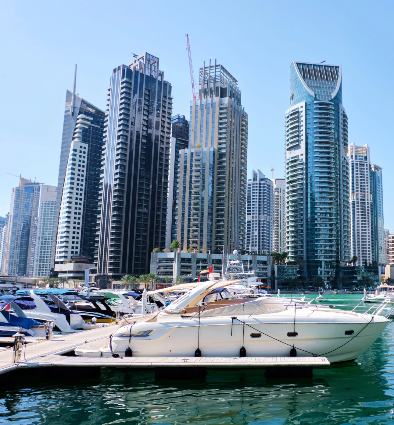 Intellectual Property Protection Enforcement