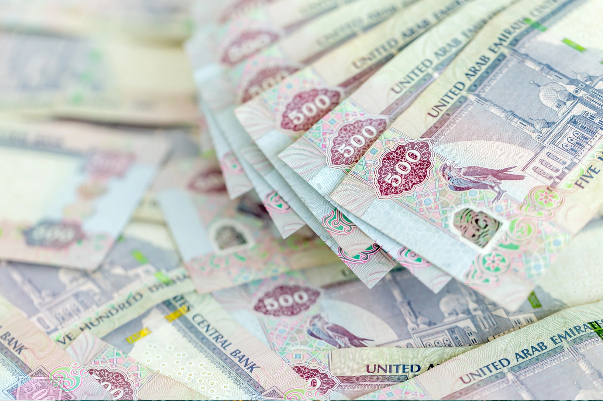 Professional license in Dubai offering full ownership and tax-efficient business benefits